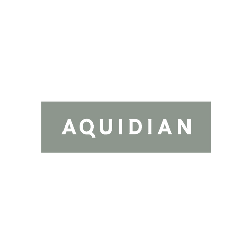 Aquidian.com logo, a brandable .com business name for sale