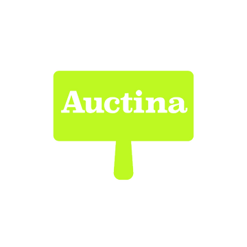 Auctina.com logo, a brandable .com business name for sale