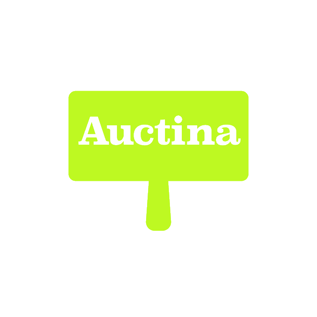 Auctina.com logo, a brandable .com business name for sale
