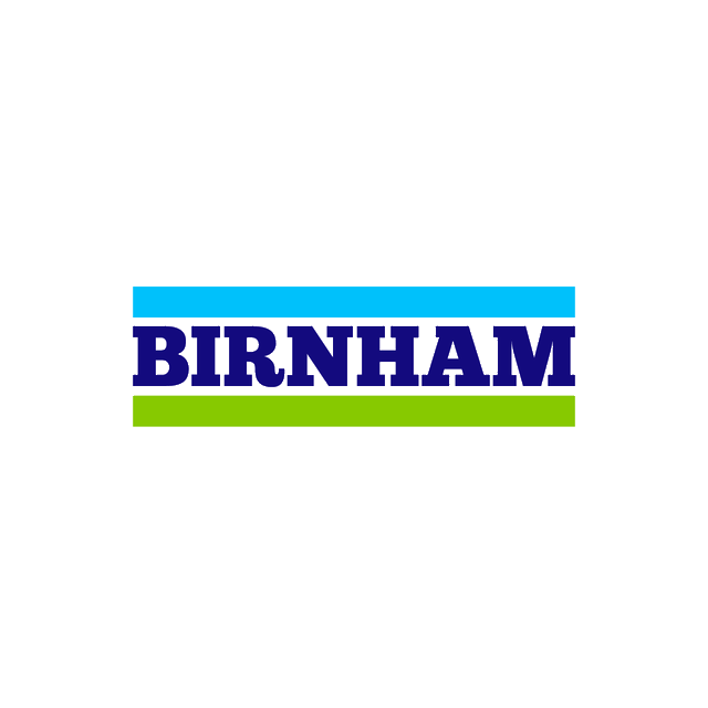 Birnham.com logo, a brandable .com business name for sale