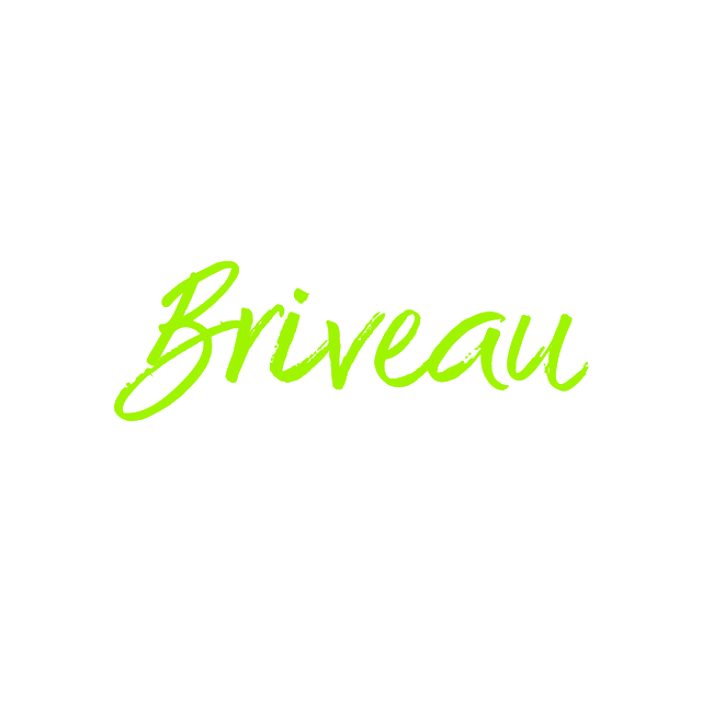 Briveau.com logo, a brandable .com business name for sale