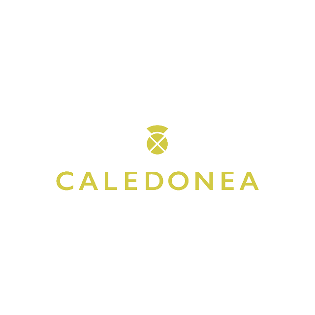 Caledonea.com logo, a brandable .com business name for sale