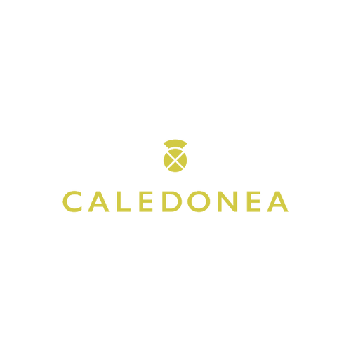Caledonea.com logo, a brandable .com business name for sale