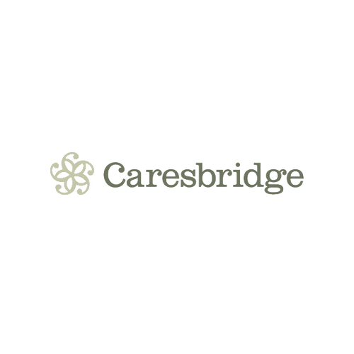 Caresbridge.com logo, a brandable .com business name for sale