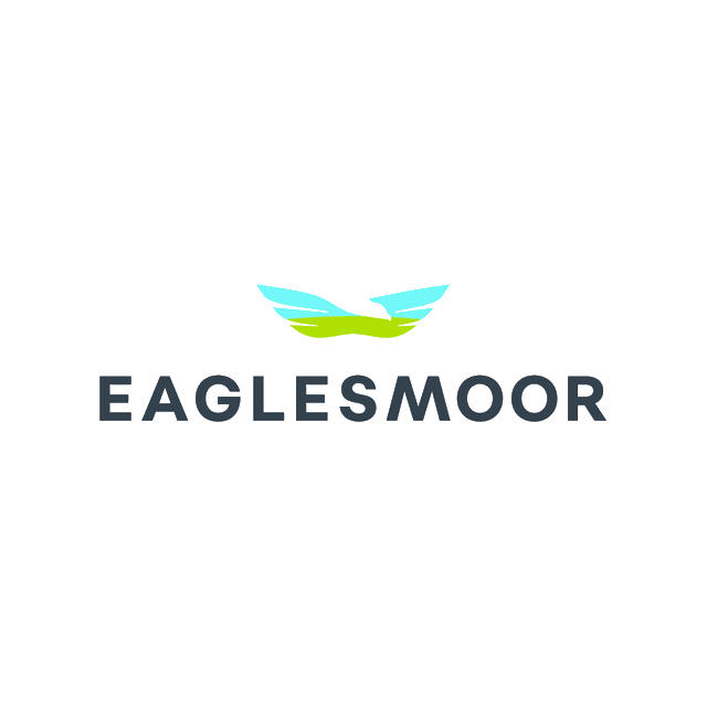 Eaglesmoor.com logo, a brandable .com business name for sale