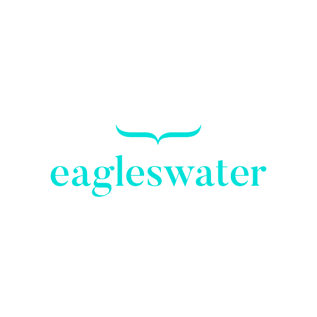 Eagleswater.com logo, a brandable .com business name for sale