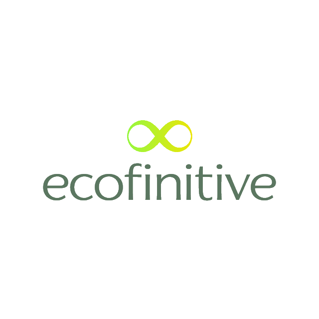 Ecofinitive.com logo, a brandable .com business name for sale