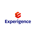 Experigence.com logo, a brandable .com business name for sale