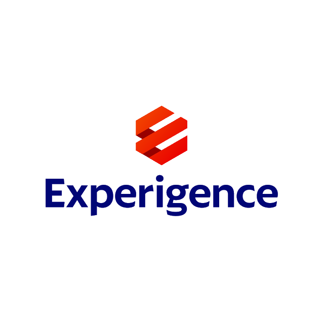 Experigence.com logo, a brandable .com business name for sale