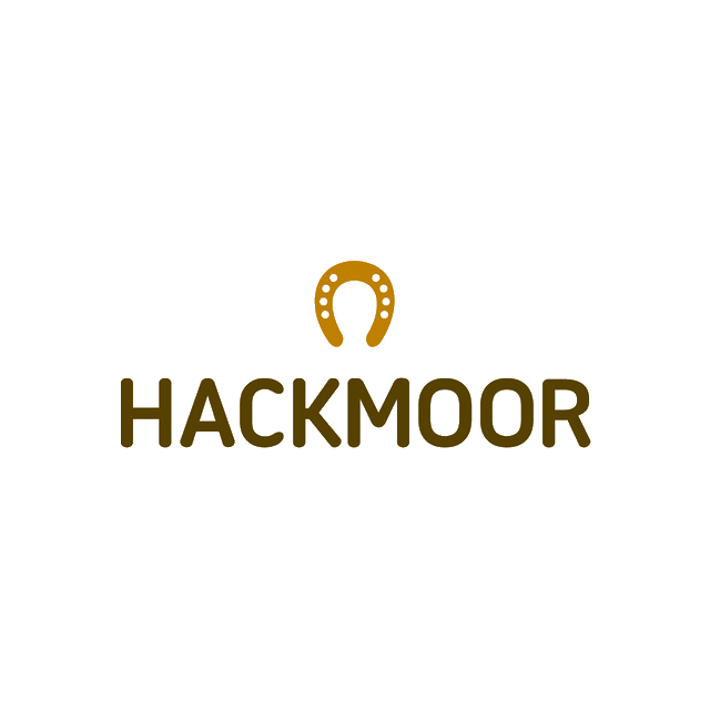 Hackmoor.com logo, a brandable .com business name for sale