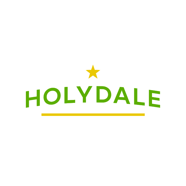 Holydale.com logo, a brandable .com business name for sale