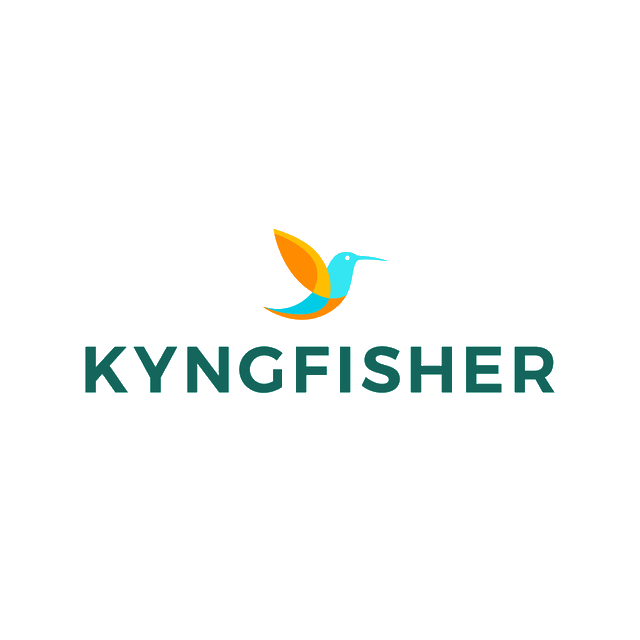 Kyngfisher.com logo, a brandable .com business name for sale