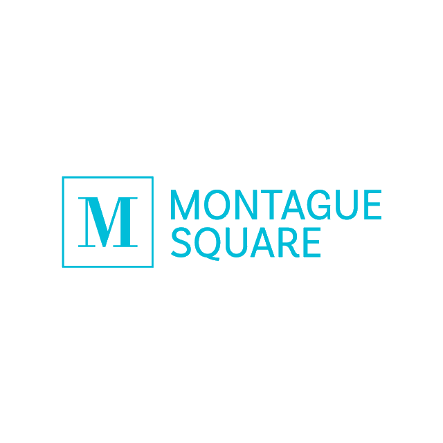 MontagueSquare.com logo, a brandable .com business name for sale
