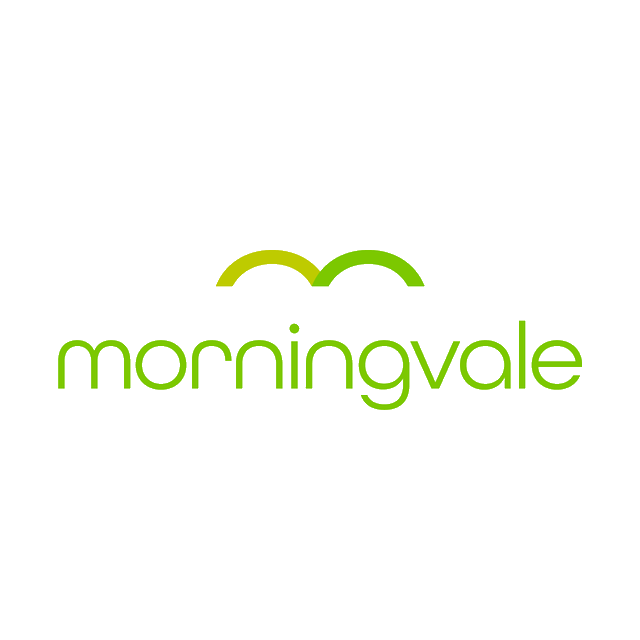 Morningvale.com logo, a brandable .com business name for sale