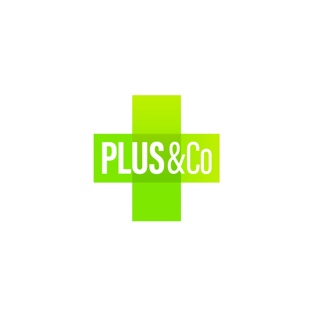 PlusAndCo.com logo, a brandable .com business name for sale