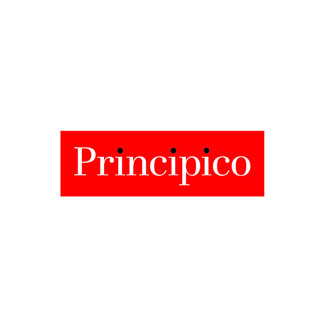 Principico.com logo, a brandable .com business name for sale