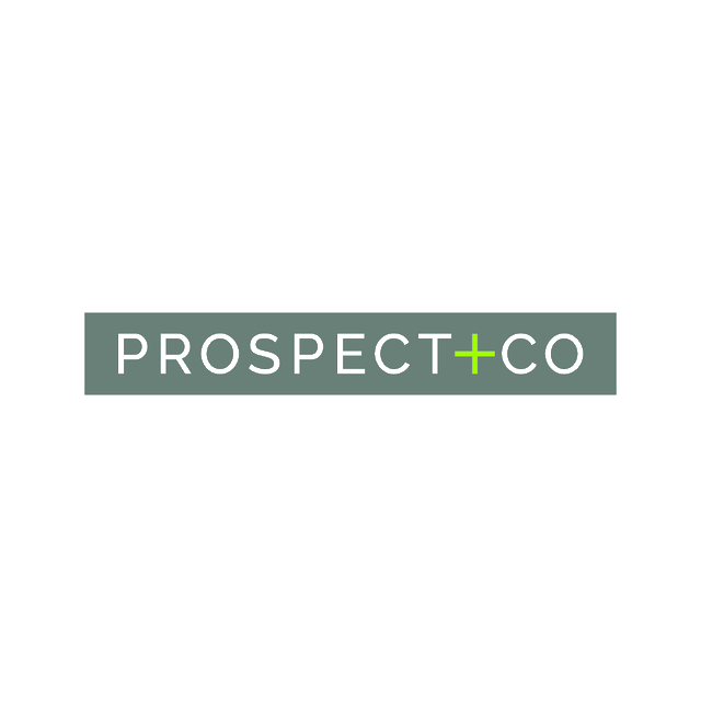 ProspectAndCo.com logo, a brandable .com business name for sale