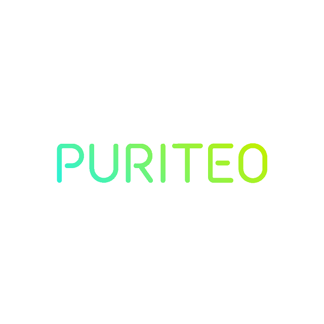 Puriteo.com logo, a brandable .com business name for sale
