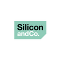 SiliconAndCo.com logo, a brandable .com business name for sale