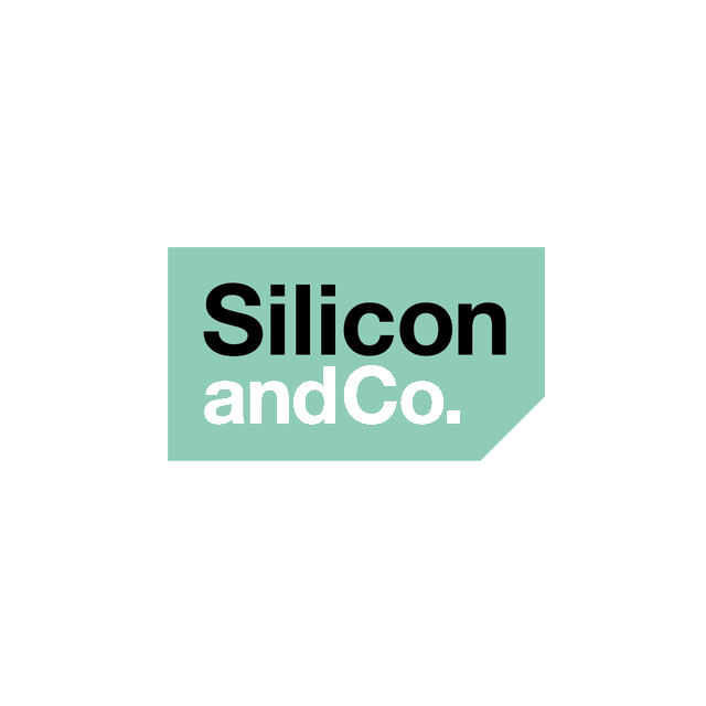 SiliconAndCo.com logo, a brandable .com business name for sale