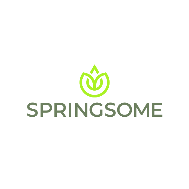 Springsome.com logo, a brandable .com business name for sale