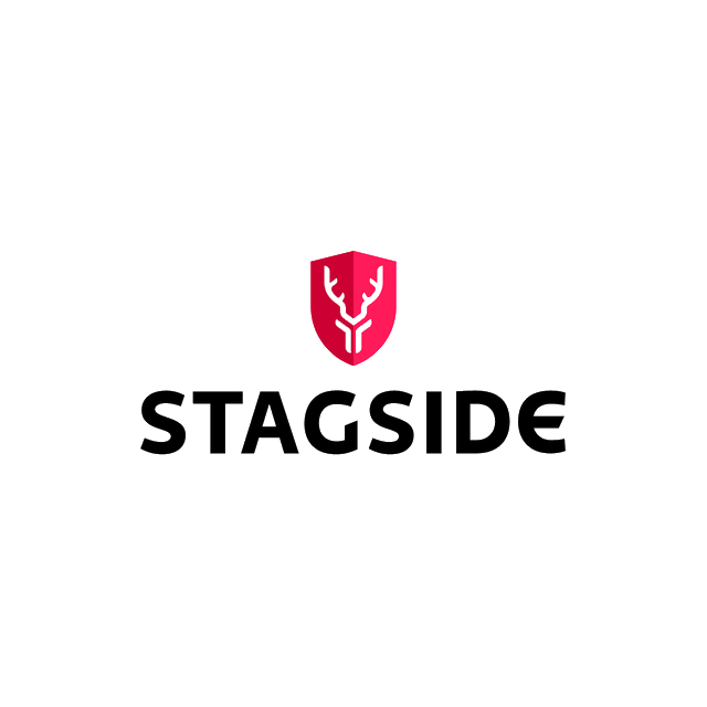 Stagside.com logo, a brandable .com business name for sale