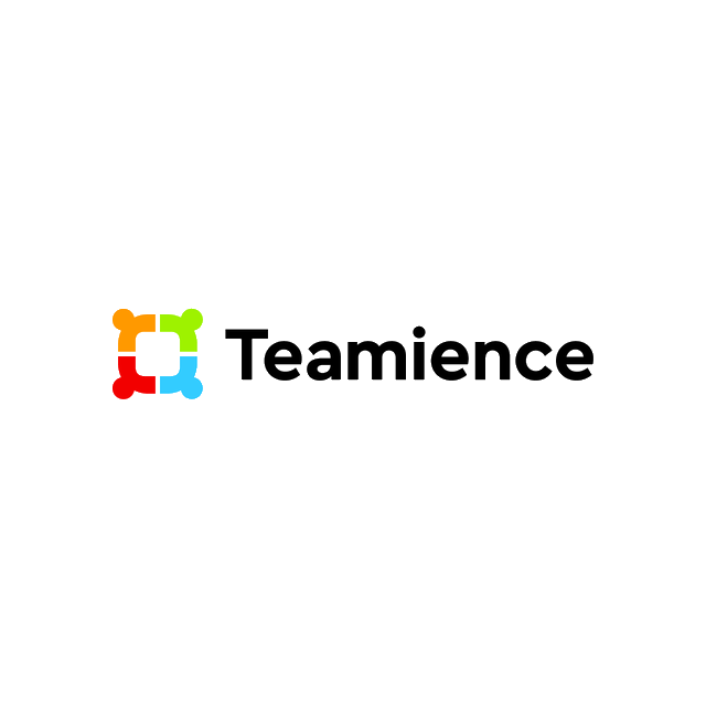 Teamience.com logo, a brandable .com business name for sale