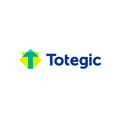 Totegic.com logo, a brandable .com business name for sale