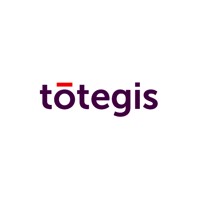 Totegis.com logo, a brandable .com business name for sale