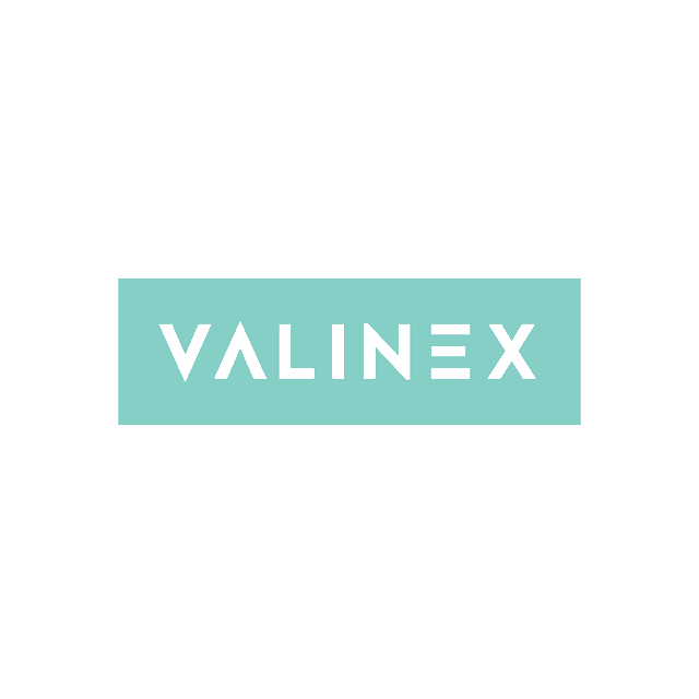 Valinex.com logo, a brandable .com business name for sale