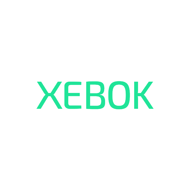 Xebok.com logo, a brandable .com business name for sale