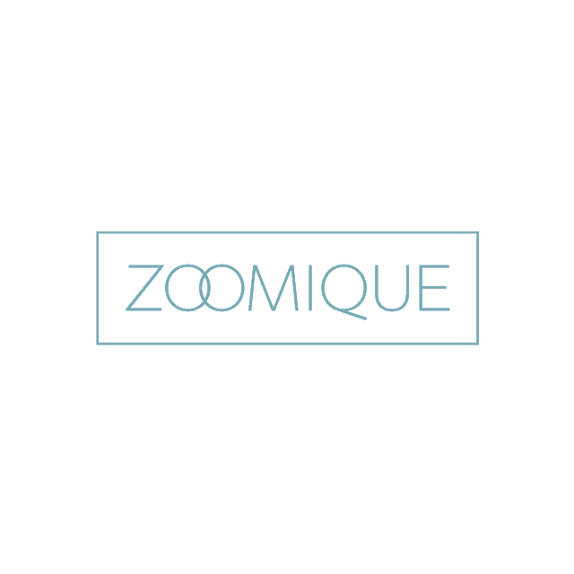 Zoomique.com logo, a brandable .com business name for sale