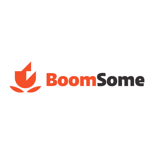 Boomsome.com logo, a brandable .com business name for sale
