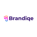 brandiqe.com logo, a brandable .com business name for sale