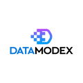 DataModex.com logo, a brandable .com business name for sale