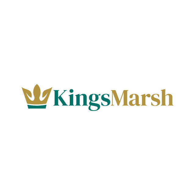 KingsMarsh.com logo, a brandable .com business name for sale