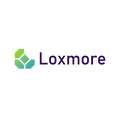 Loxmore.com logo, a brandable .com business name for sale