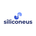 Siliconeus.com logo, a brandable .com business name for sale
