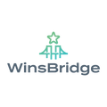 WinsBridge.com logo, a brandable .com business name for sale